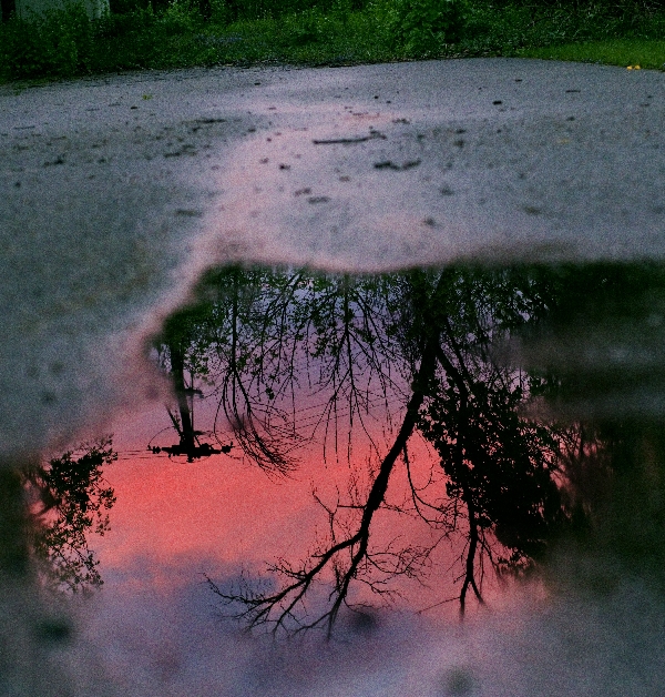 Sunset Puddle Reflection