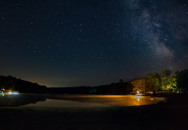 The Cosmos from Beulah, MI