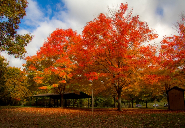 Autumn at Seven Lakes State Park