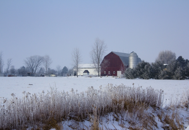 Foggy Frosty March Morning