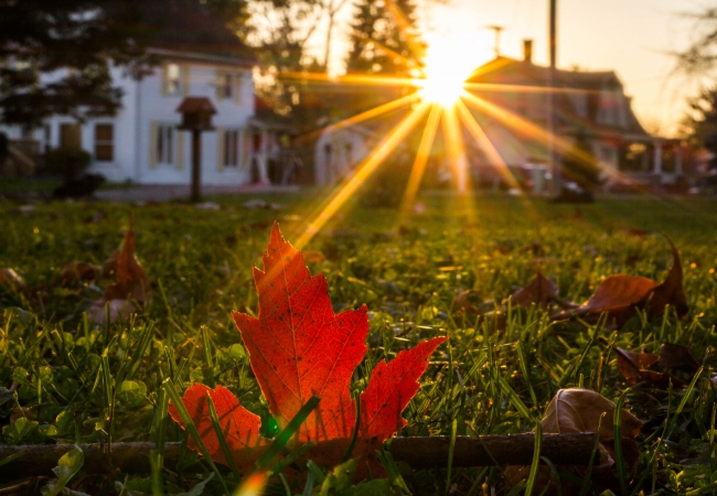 Autumn Evening