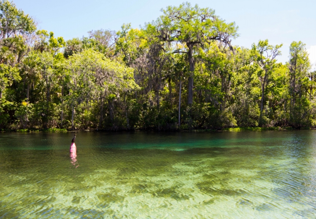 Silver Glen Springs, Florida