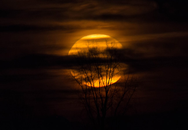 Supermoon - Nov 14, 2016