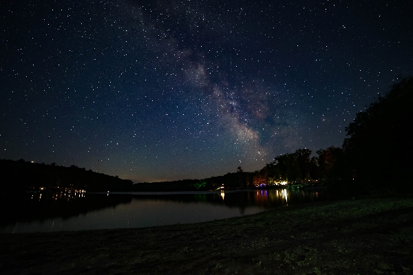 The Cosmos - Beulah, MI