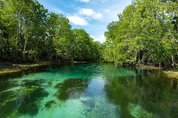 Ocklawaha River