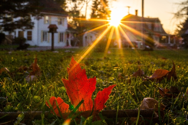 Autumn Evening