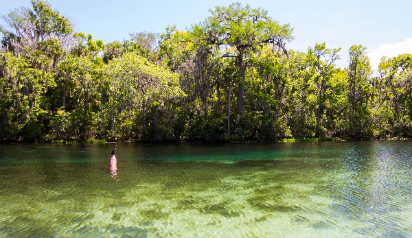 Silver Glen Springs, Florida