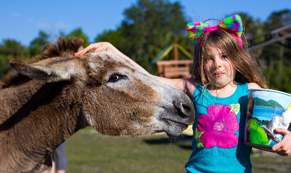 Florida petting zoo fun