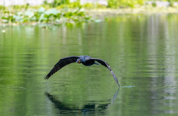 Skimming the surface